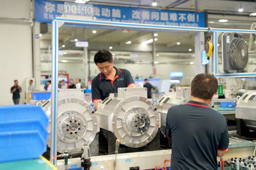 兩新政策紅利惠及生產(chǎn)企業(yè)，保稅造借機遇再上新臺階